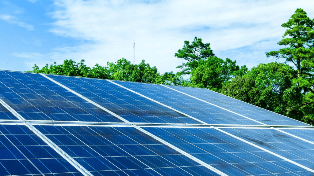 সৌর বৈদ্যুতিক প্রকল্প সোলার প্যানেল কার্যকারিতা সরকারি ও বেসরকারি উদ্যোগ