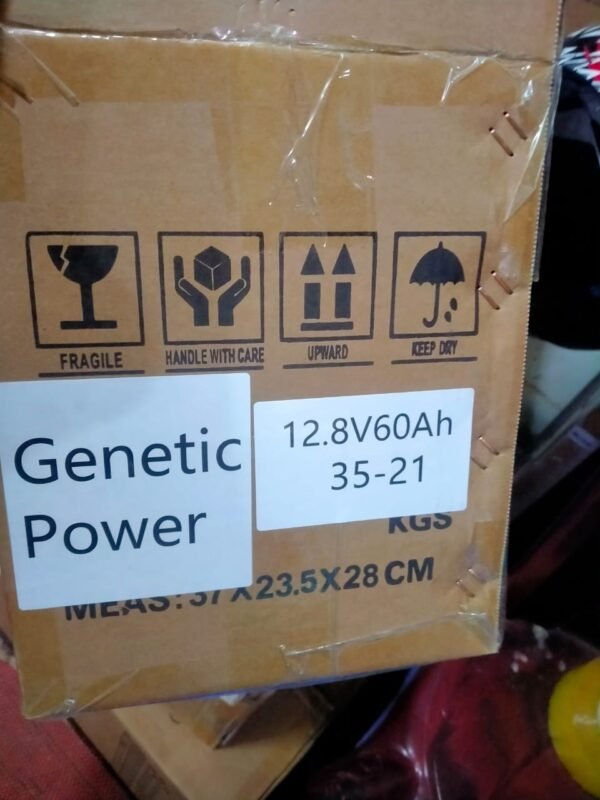 WhatsApp Image 2025-12-11 at 12.07.30_02d5d43c Genetic 60Ah 12.8V LiFePO4