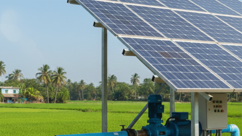 সৌর সেচ পাম্পের মাধ্যমে কৃষিতে বিপ্লব: ড্রিপ সেচ এবং ৮-মিটারের গুরুত্বপূর্ণ নিয়ম